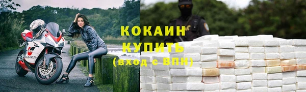 индика Баксан