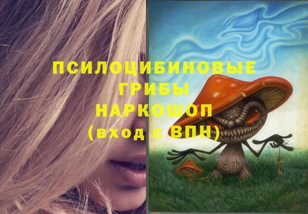 индика Баксан