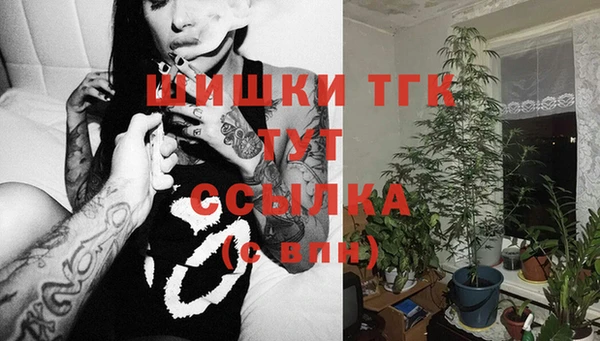 mdma Белокуриха