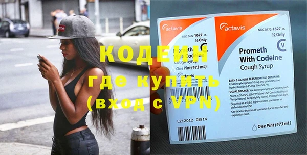 индика Баксан