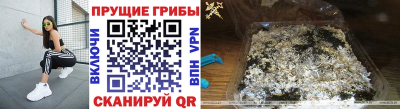 Псилоцибиновые грибы прущие грибы  МЕГА сайт  Омск 